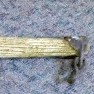 Singletree