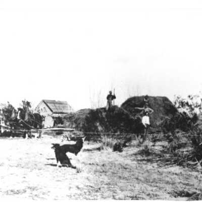 Pulsipher Homestead Early 1900's