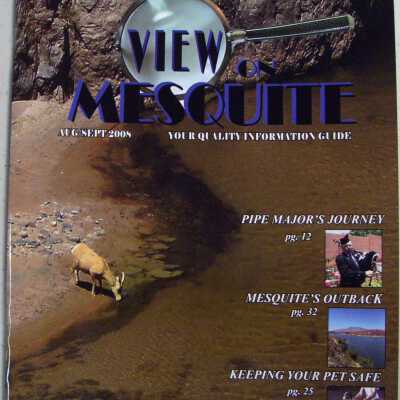 View on Mesquite