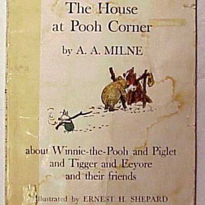 The House at Pooh Corner