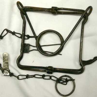 Animal Trap