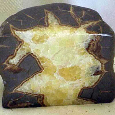 Geospecimen