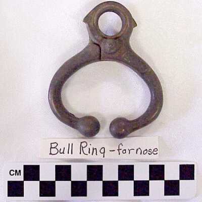 Ring, Animal-nose