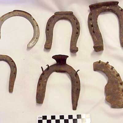 horseshoe