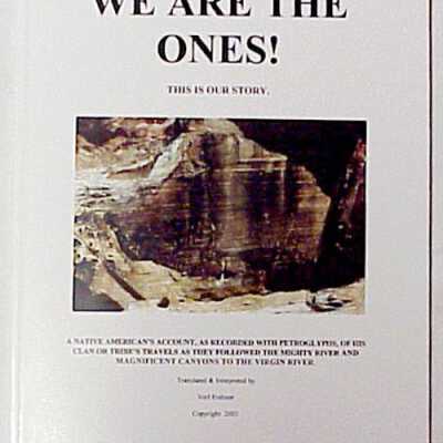 We Are The Ones