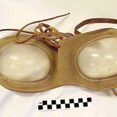 Goggles, Horse