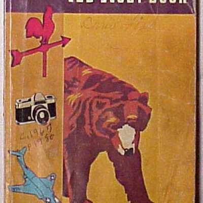 Bear Cub Scout Book