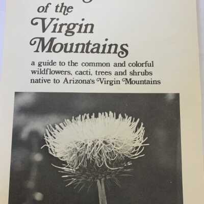 Plants of the Virgin Mountains