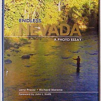Endless Nevada