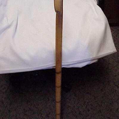 Cane