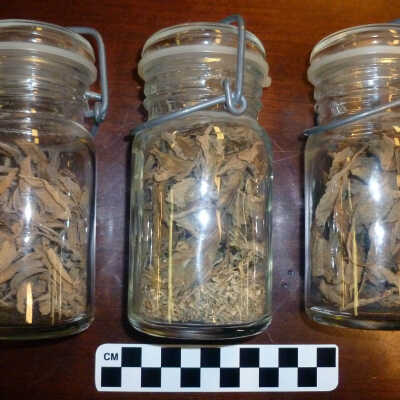 Jar