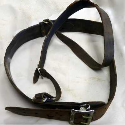 Belt