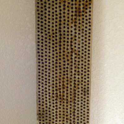 Beehive