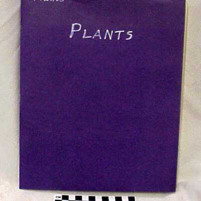 Plants