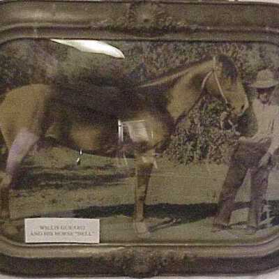 Willis Guearo & horse
