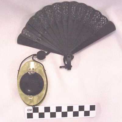 Fan