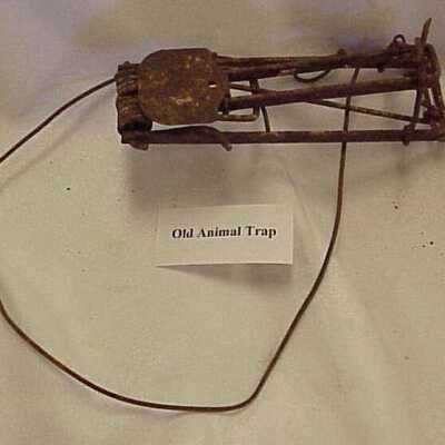 Trap