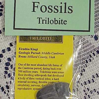 Fossil