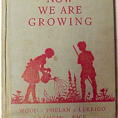 Now we are growing