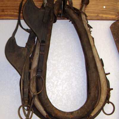Collar, Horse