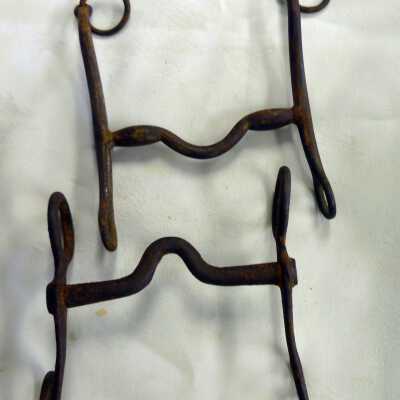 Bridle