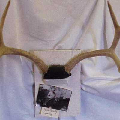 Trophy