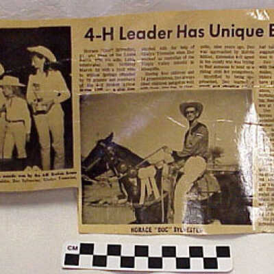 Newspaper Article