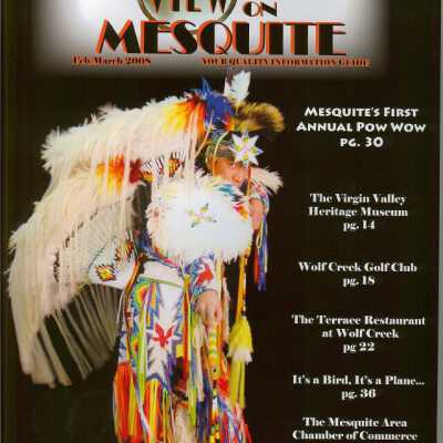 View on Mesquite - Feb / March 2008 (Volume 1, Issue 3)