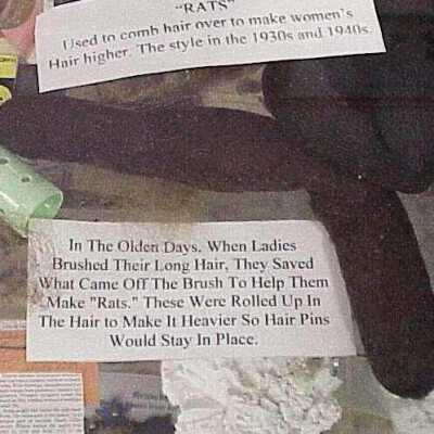 Hairnet