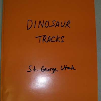 Dinosaur Tracks - St George, Utah