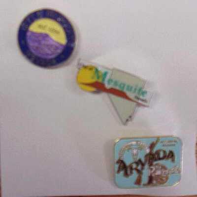 Pin