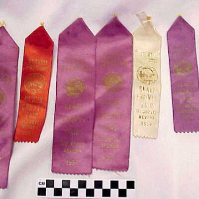 Ribbon, Prize