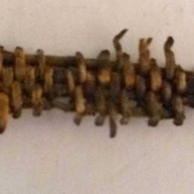Indian weaving - Basket?