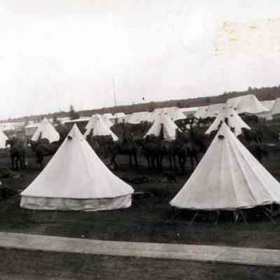 Camp Tents lined up