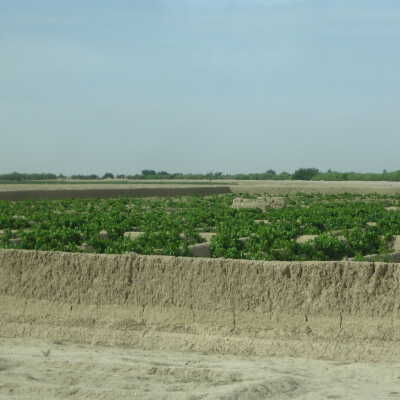 Afghan Agricultural Project