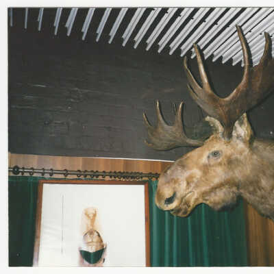 Moose Head