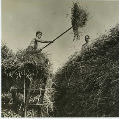 Helping Farmers