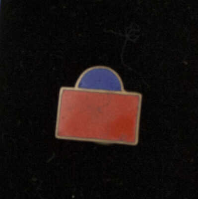 Commemorative Pin