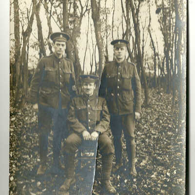 Soldiers in the woods
