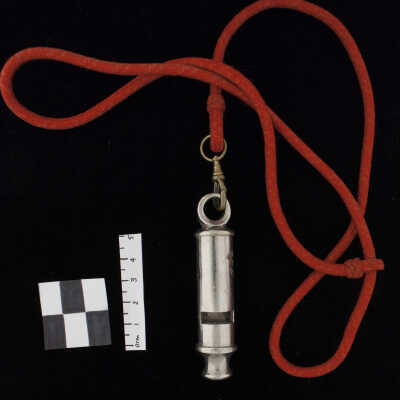 Whistle