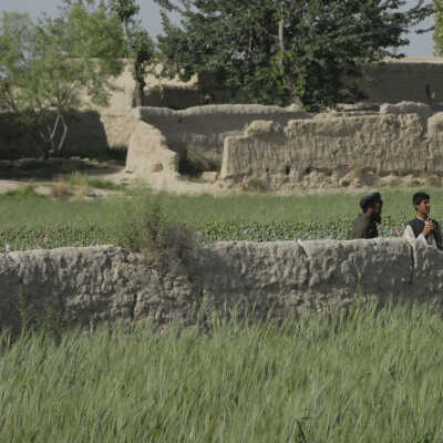 Afghan Farmers in their Field