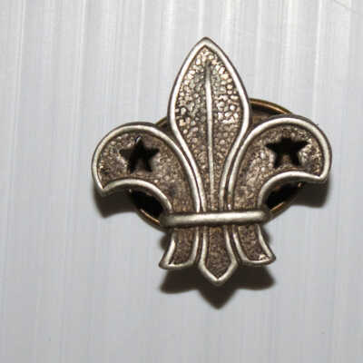 Boy Scout Badge