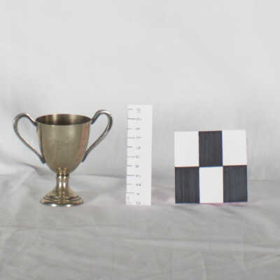 Trophy Cup