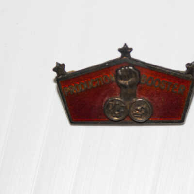 Pin