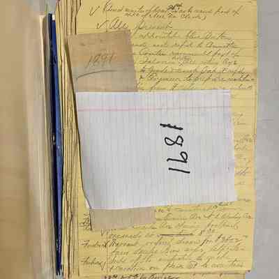 Minutes of meetings of the Board of Trustees, 1891