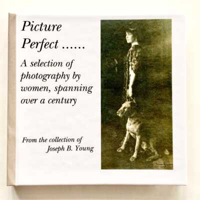'Picture Perfect...' by Joseph B. young, 2018