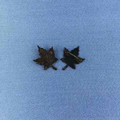 Maple leaf pins of the Toye family, early 1900s