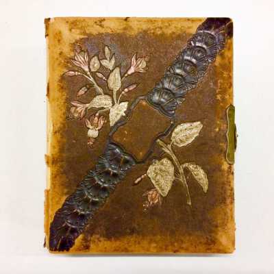 Starr family Photo album, c. 1890