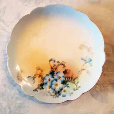 Rosenthal porcelain dessert plate with blue flowers and blue background, c. 1915-1920