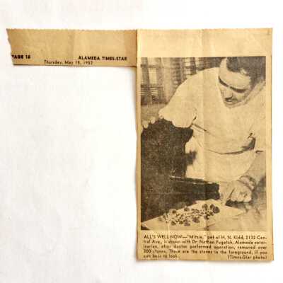 Clipping about a dog operated on by veterinarian Nathan Pugatch, 1952